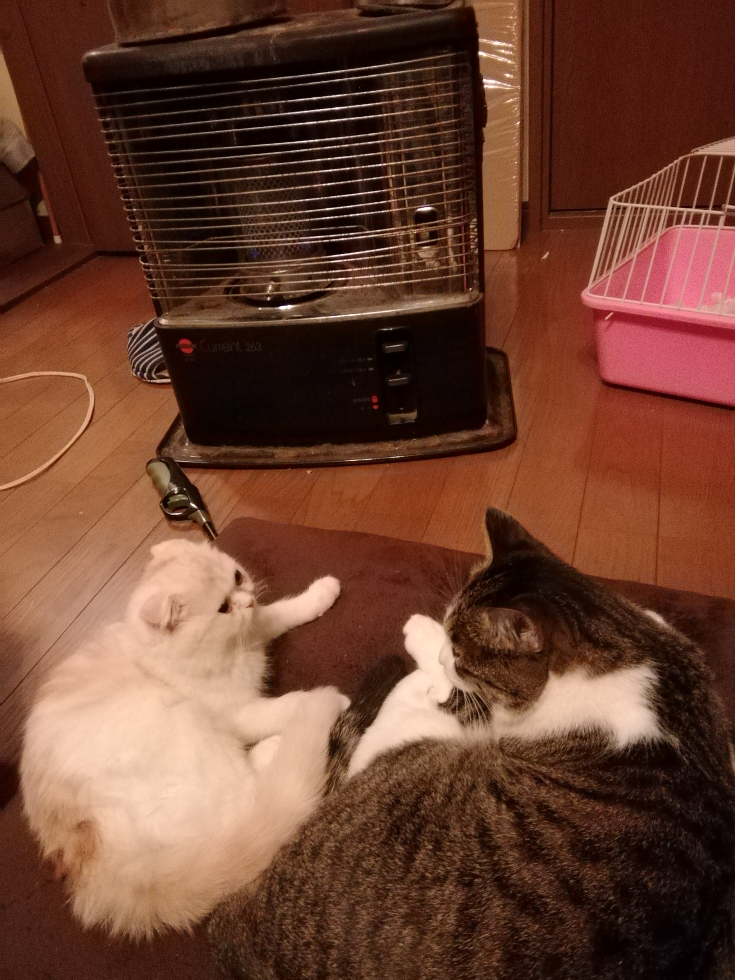 連帯感を求めずに