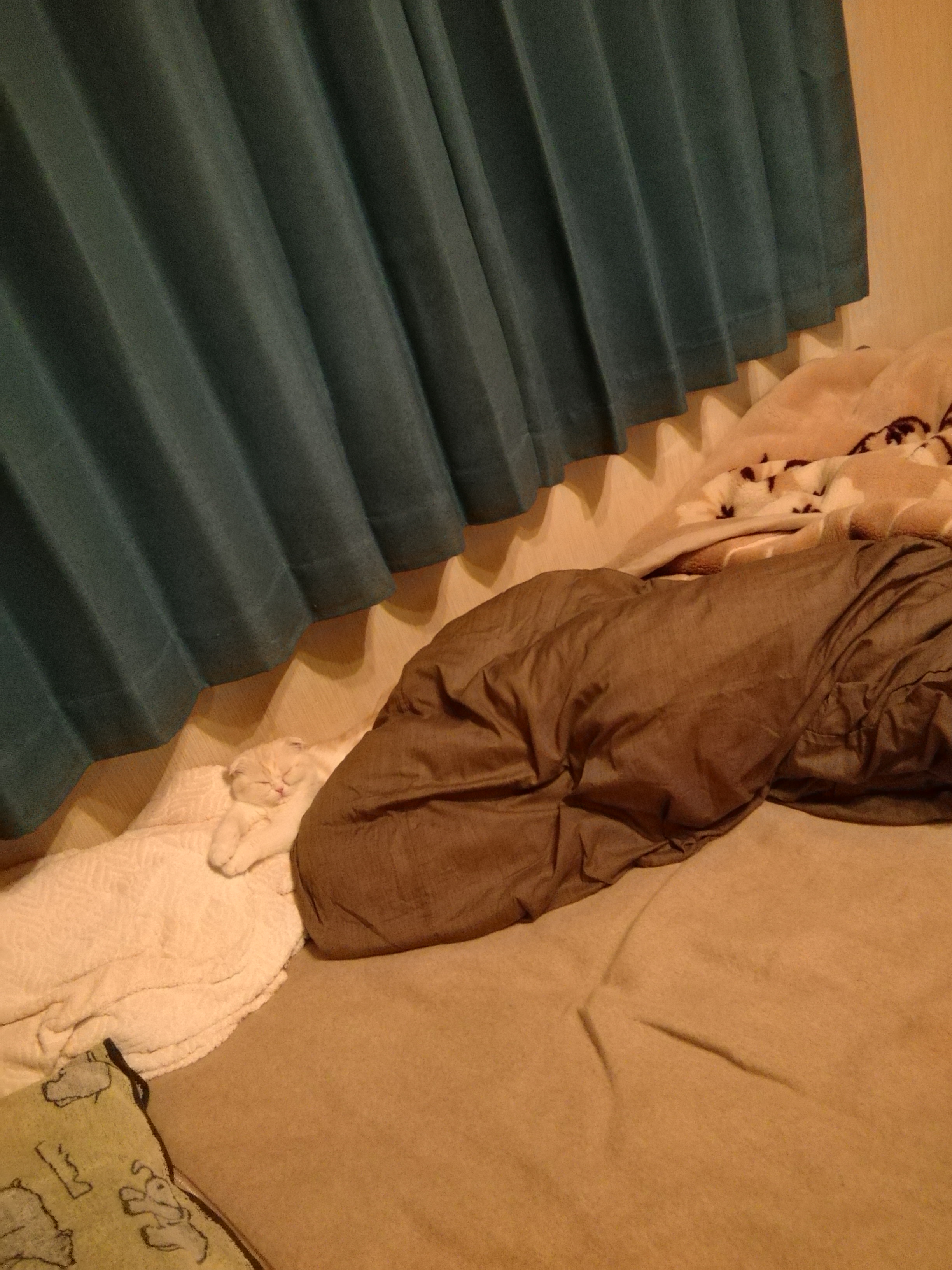 人が何かにつまずく時