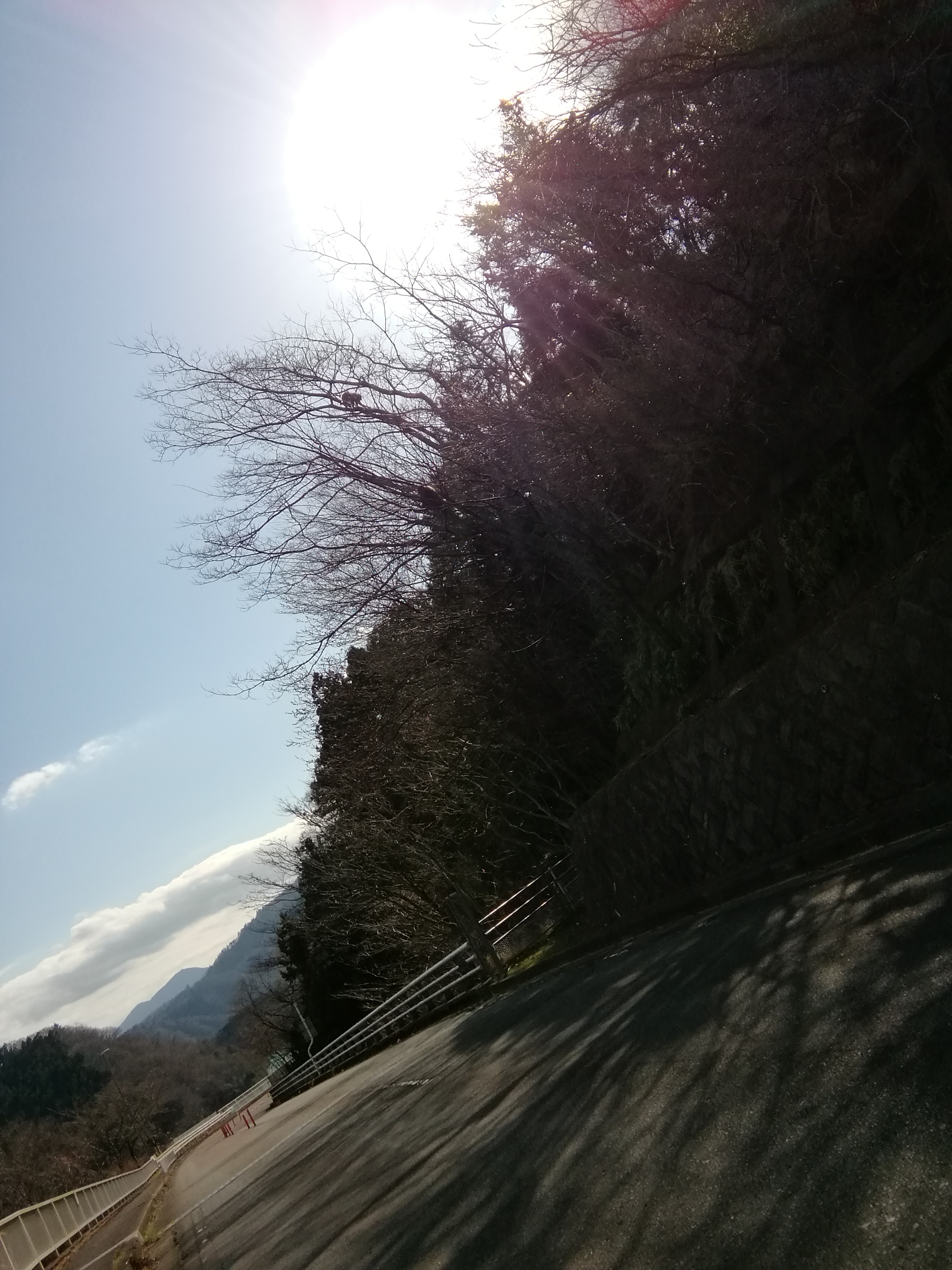 音楽家としての人生を終わらせる事にした