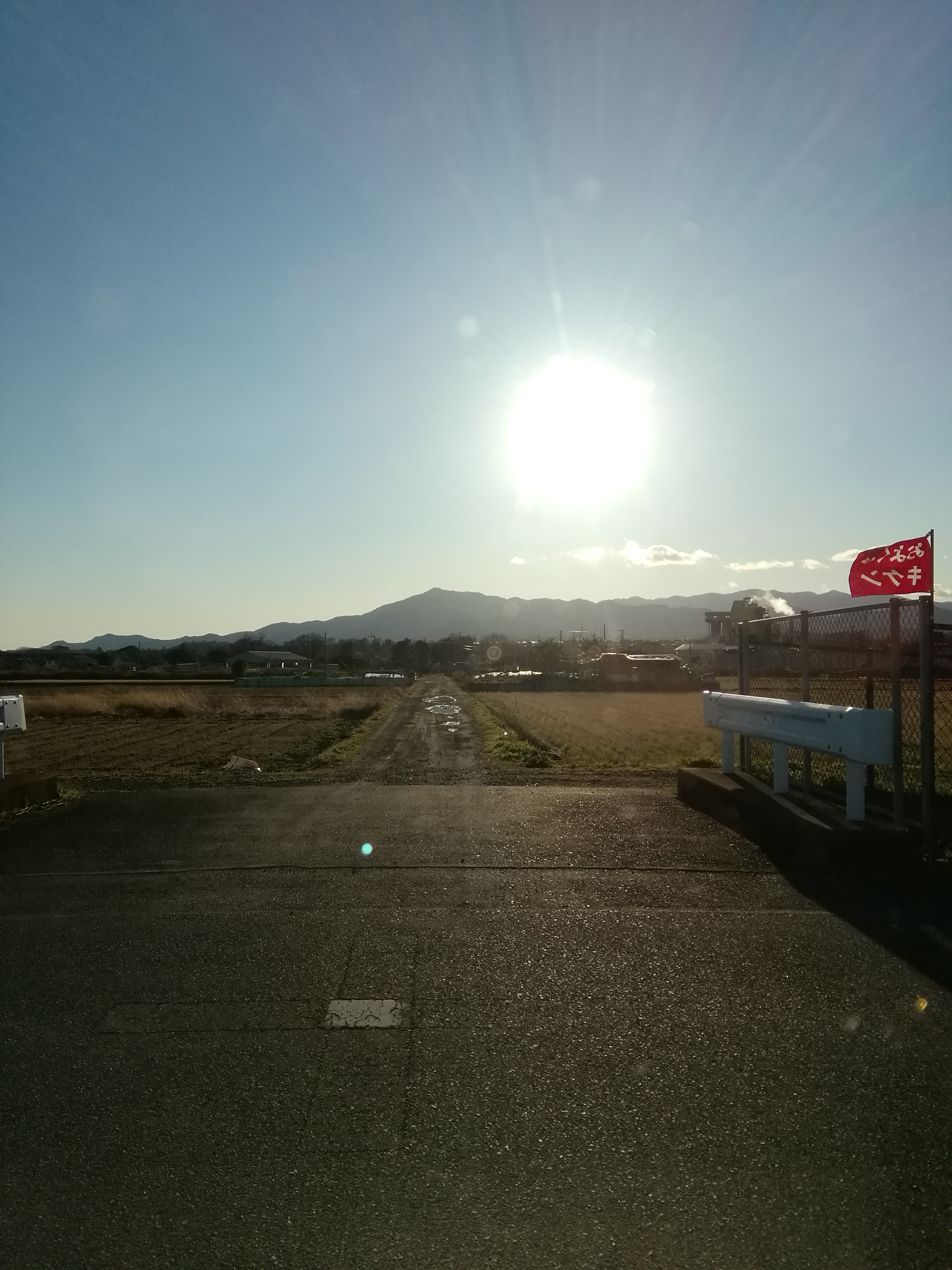 平和の殺戮