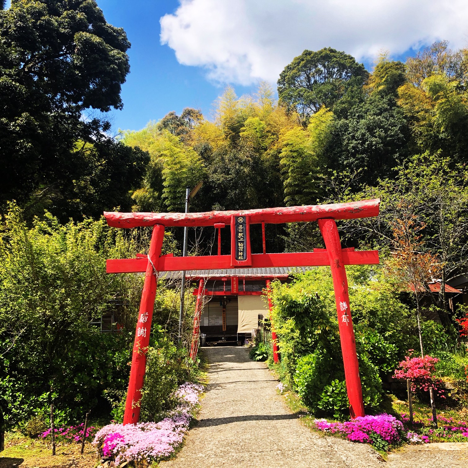 ポツンと一軒家。再び、西米良村。