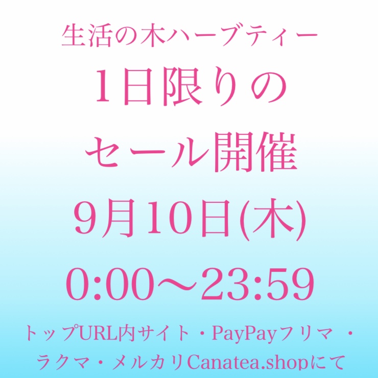 ゲリラ的に開催！セールのご案内