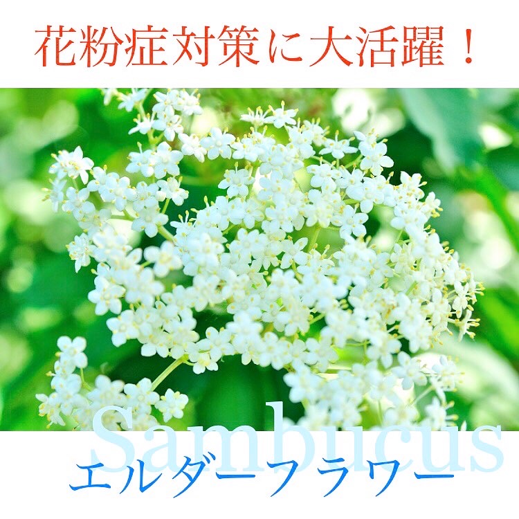 花粉症でお悩みの方へ！