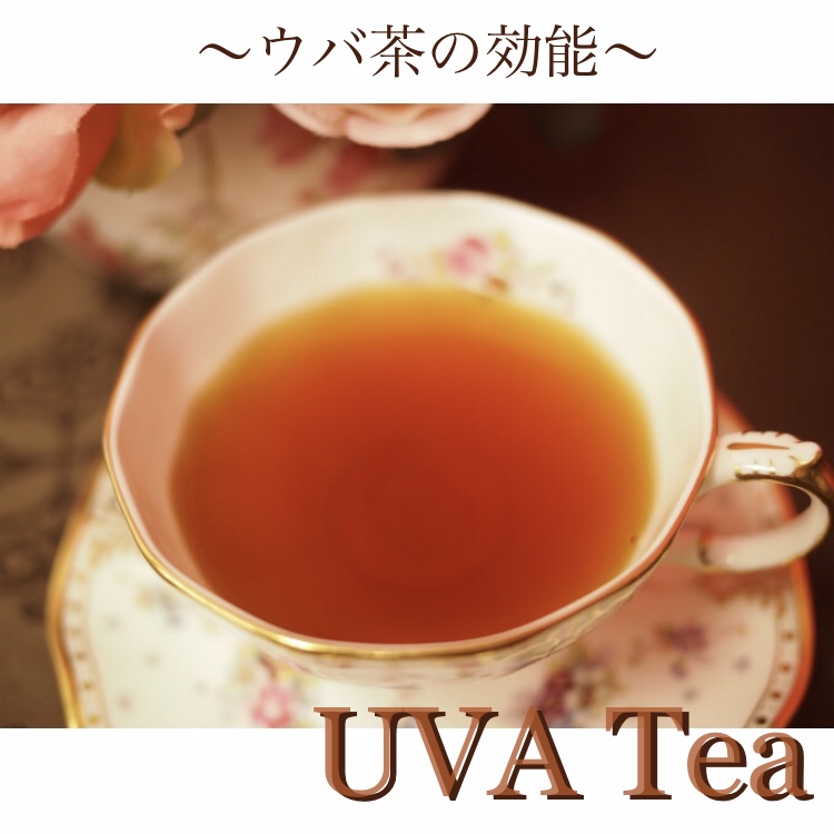 紅茶の世界三大銘茶の一つウバ茶の効能