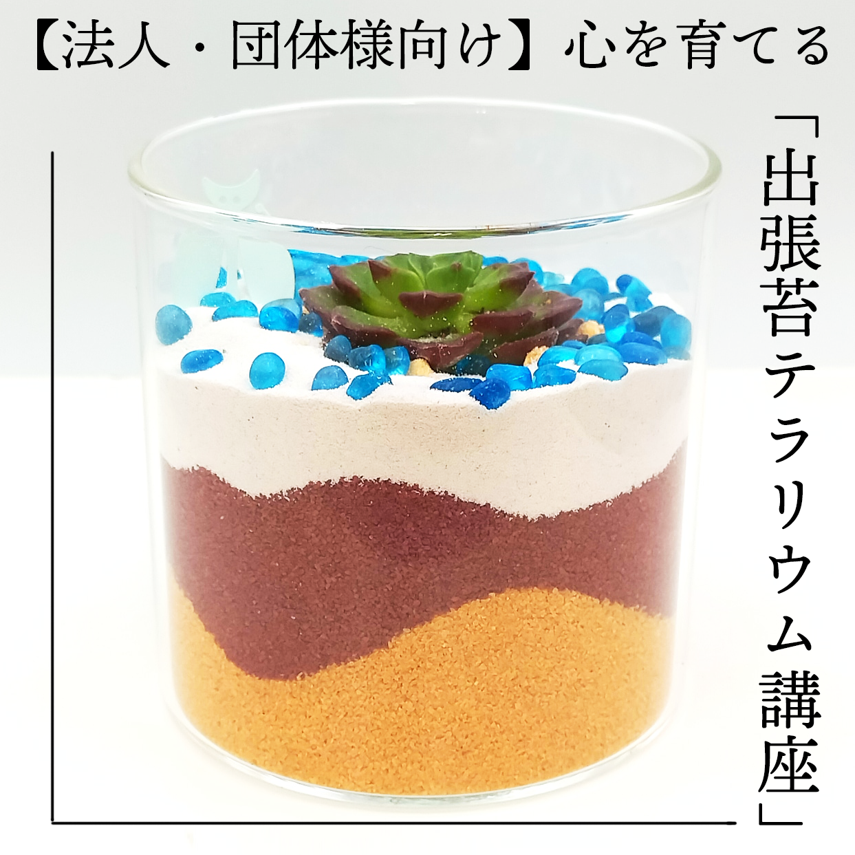 【法人・団体様向け】心を育てる「出張苔テラリウム講座」のご案内｜福利厚生・社内研修・レクリエーション