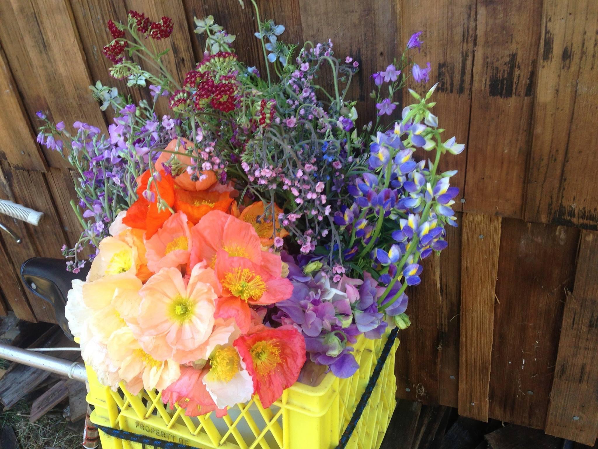 第2回｜魔女的な暮らしとは。AWAの活動が形になるまで