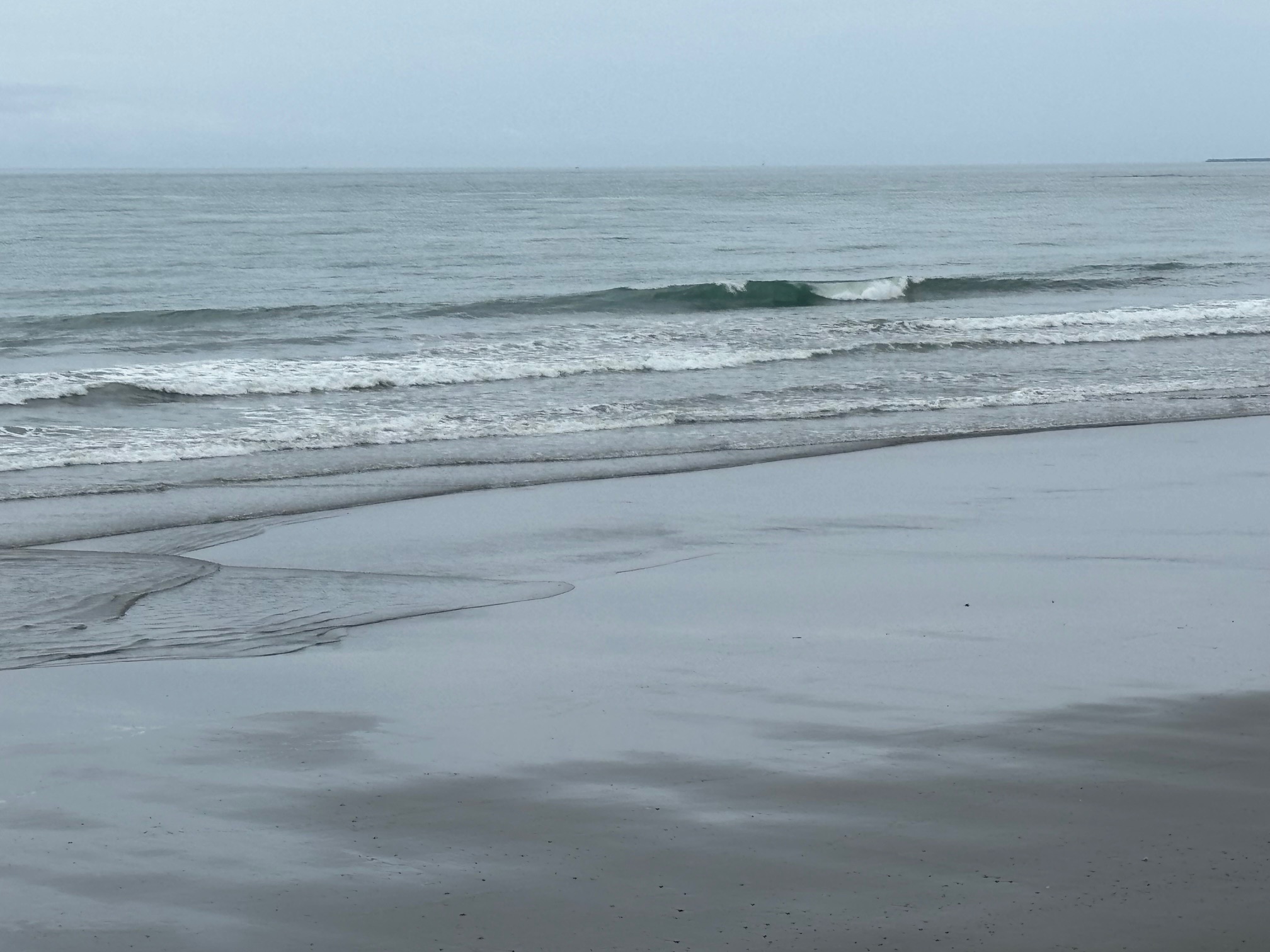 片浜の波情報