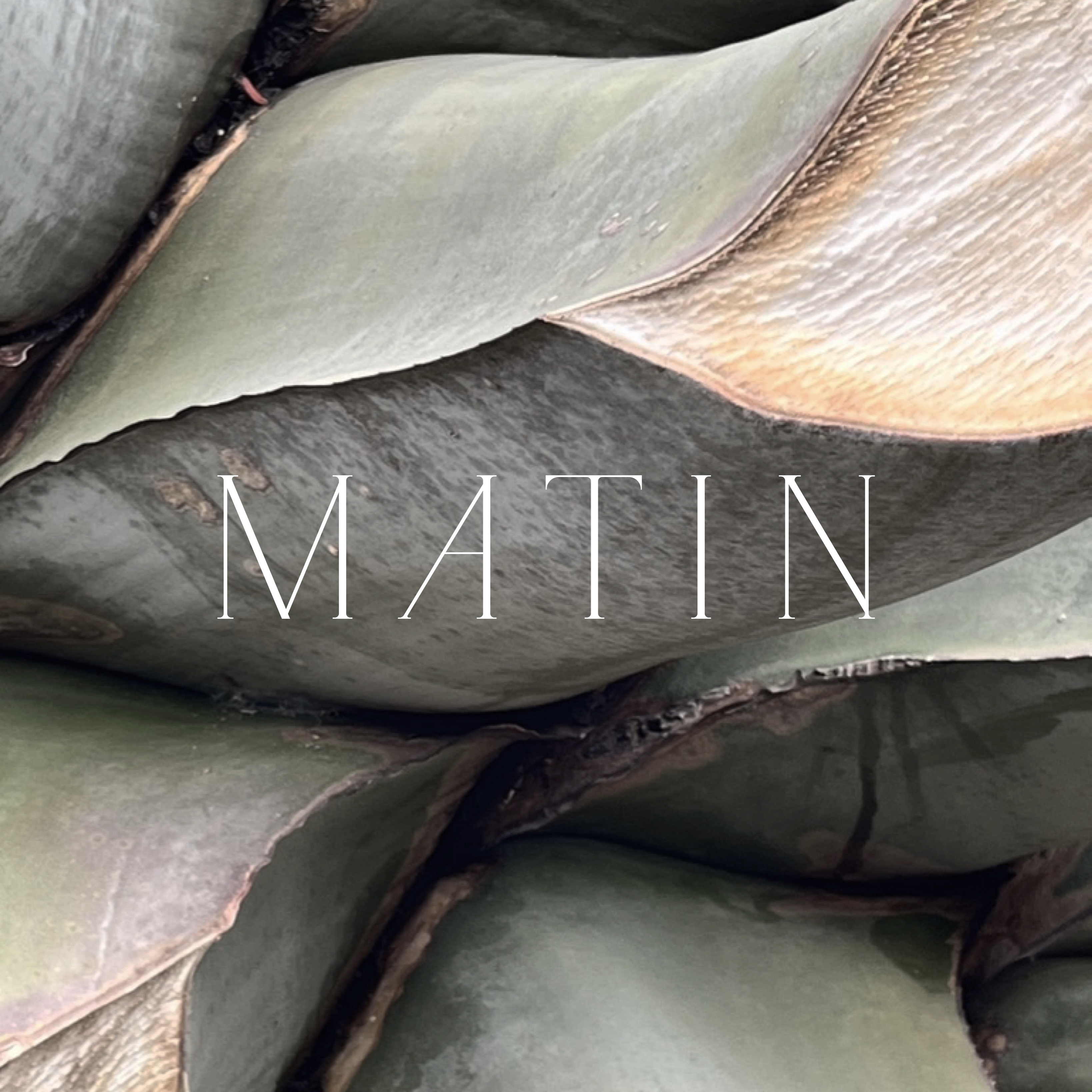New brand 『MATIN』6/5 start