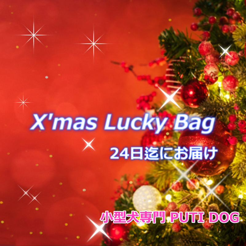 ❤PUTI DOGからお届けするX'mas Lucky Bagのお知らせ