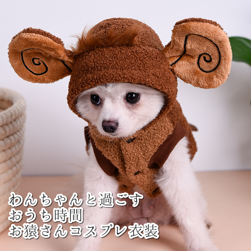 ショップリニューアルキャンペーンのお知らせ