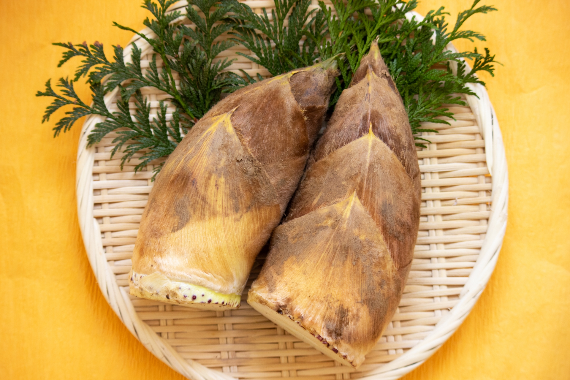 春の味覚を楽しもう！今が旬の筍は、家にある○○で簡単にアク抜きできる♪