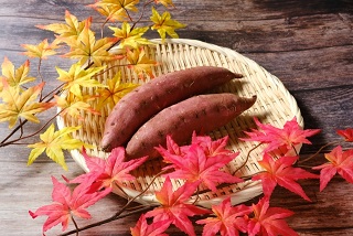 秋です！！　蒸し器で蒸かしたてのサツマイモは｢ダイエットにもおすすめ！｣です♪