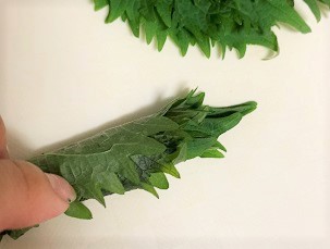 応募レシピ紹介～番外編～【大人の爽やか玉子焼き】