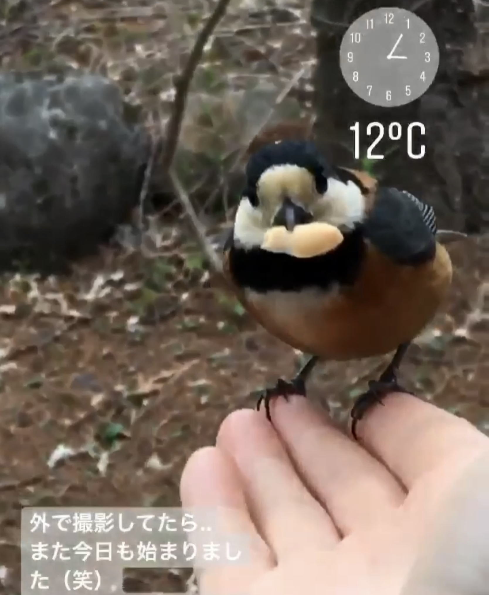 コーディネートの撮影
