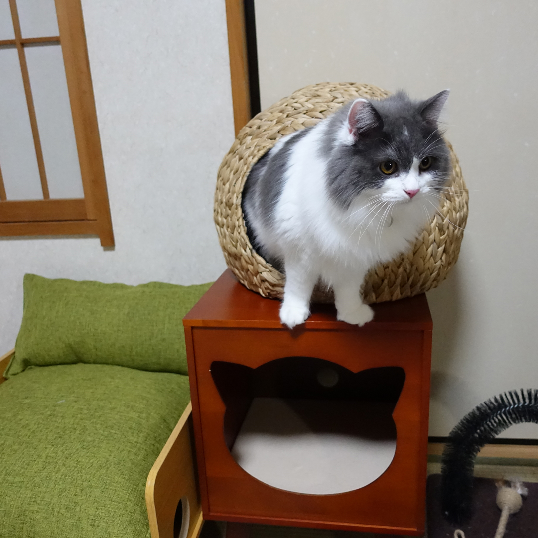 サンプル確認！