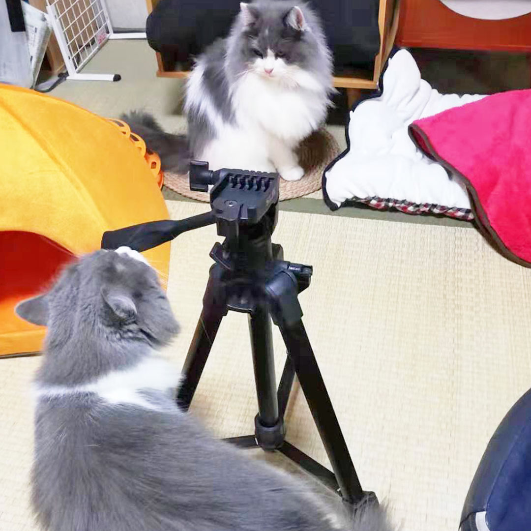 動画撮影準備！