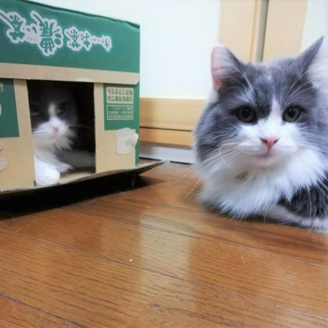 順番待ち！