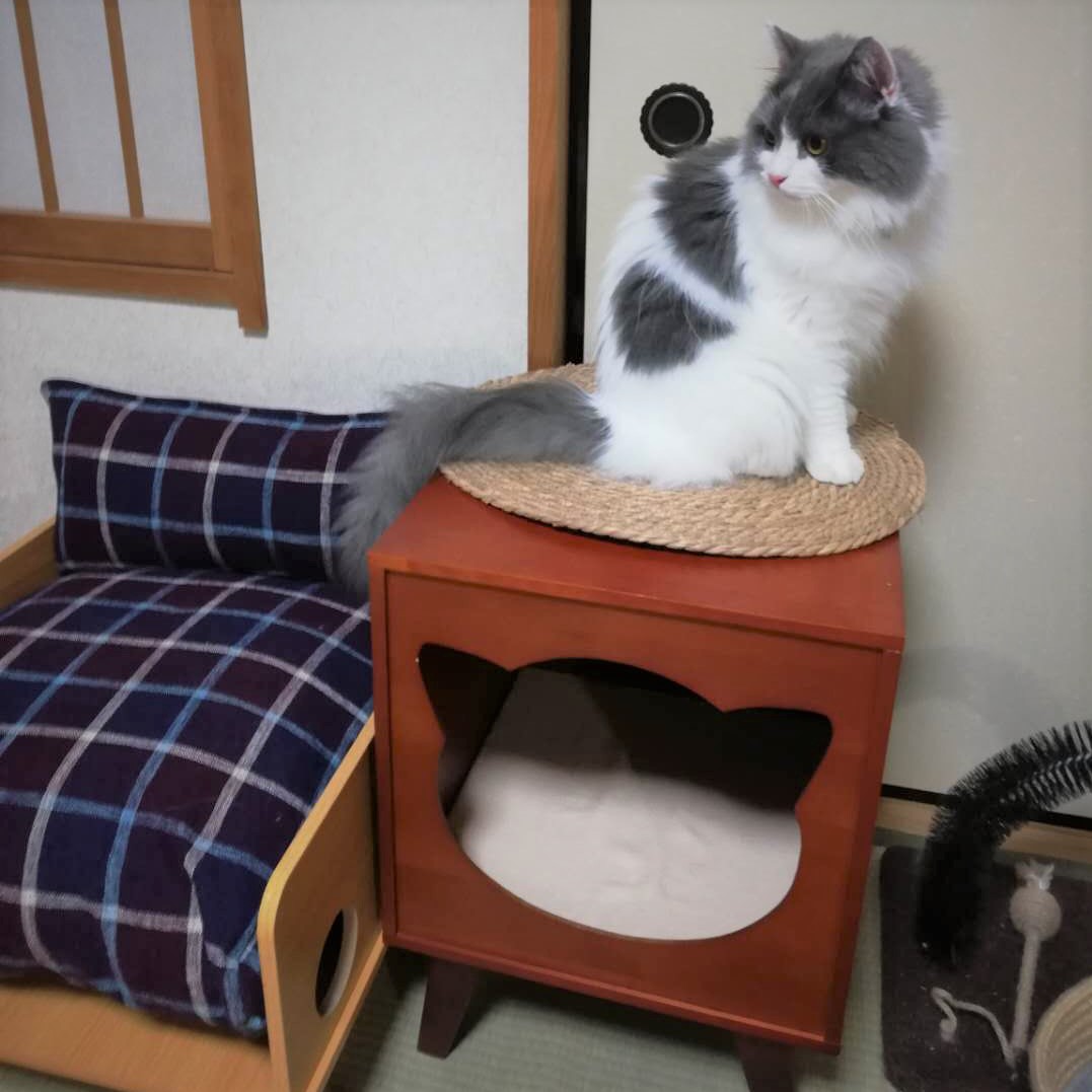 葵斗くん　久しぶりに病院へ。