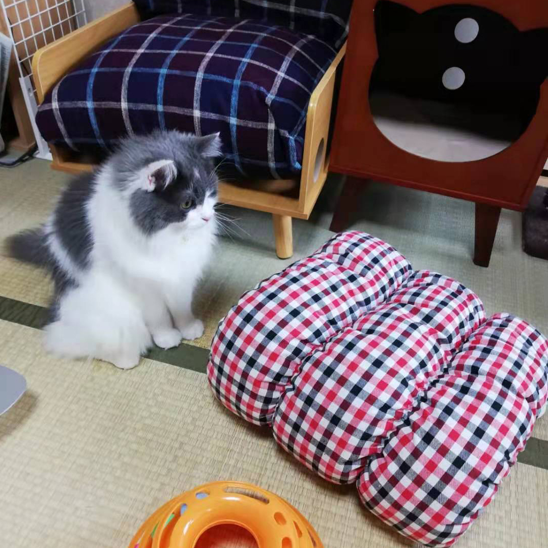 トンネルクッション