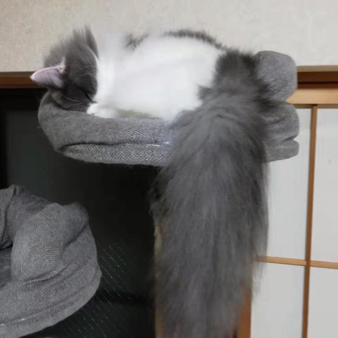 だいぶ涼しくなりました！