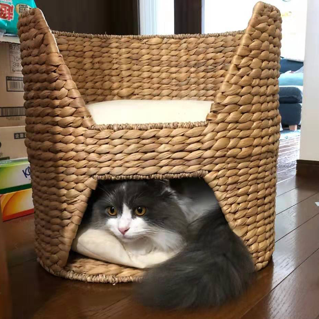 今日もサンプル確認です！