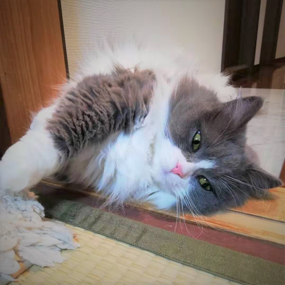 ねじれ寝！