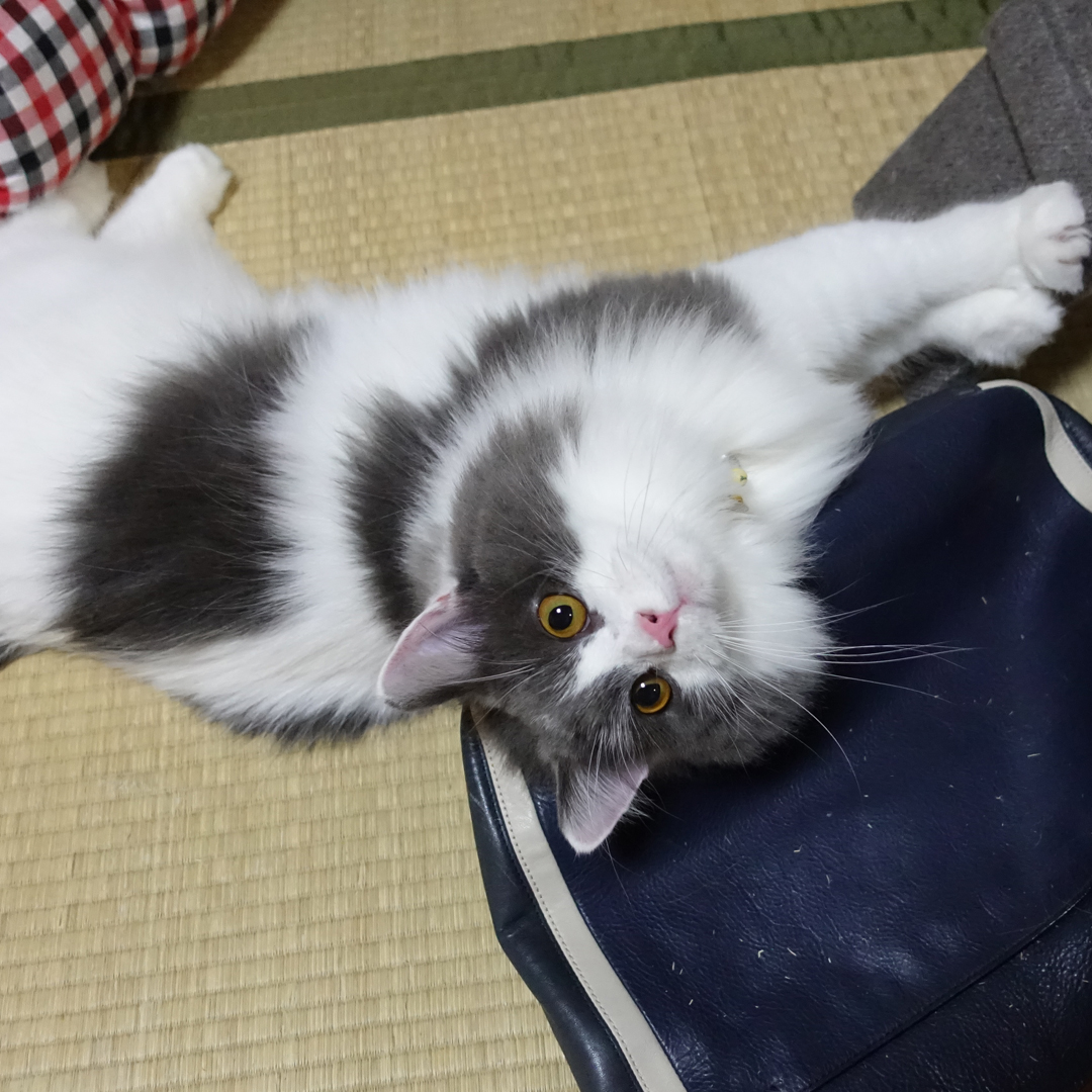 期待されてます！