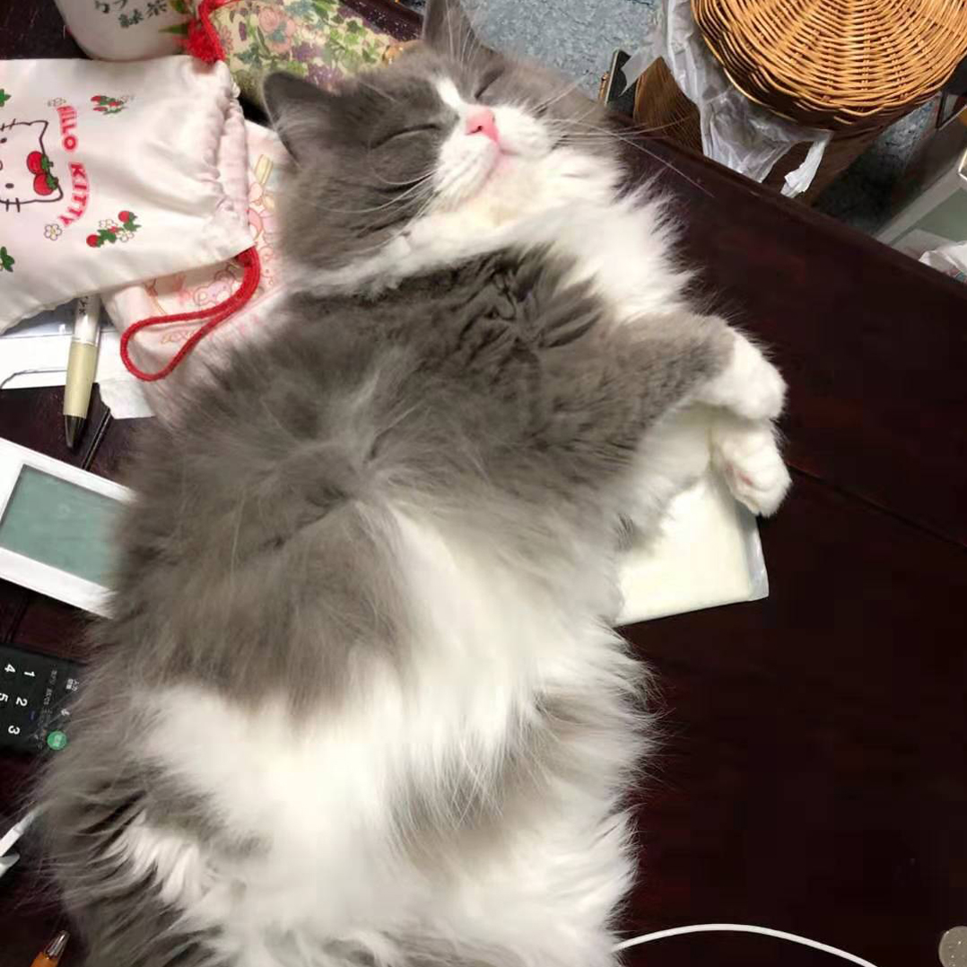 汚くてすいません！