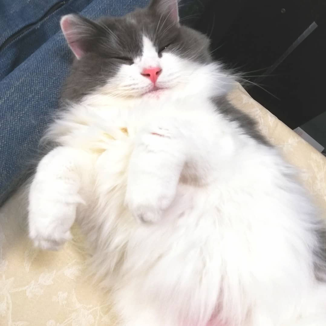 葵斗くん。