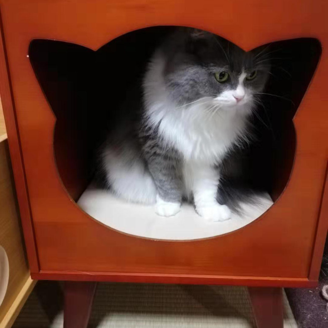 縄張り意識が強いですね！