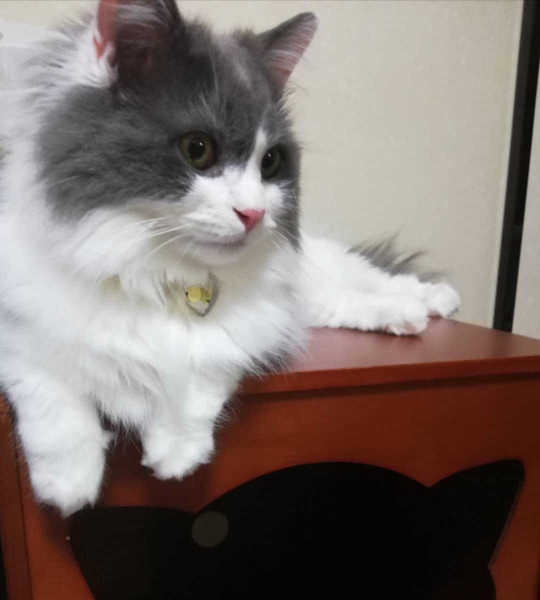 今日から下半期の始まりです！