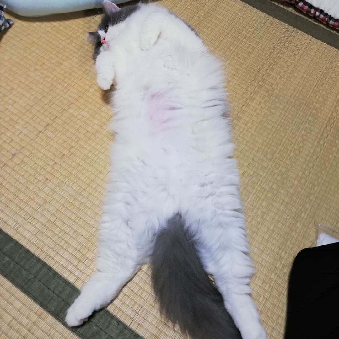 今日も伸び伸び！