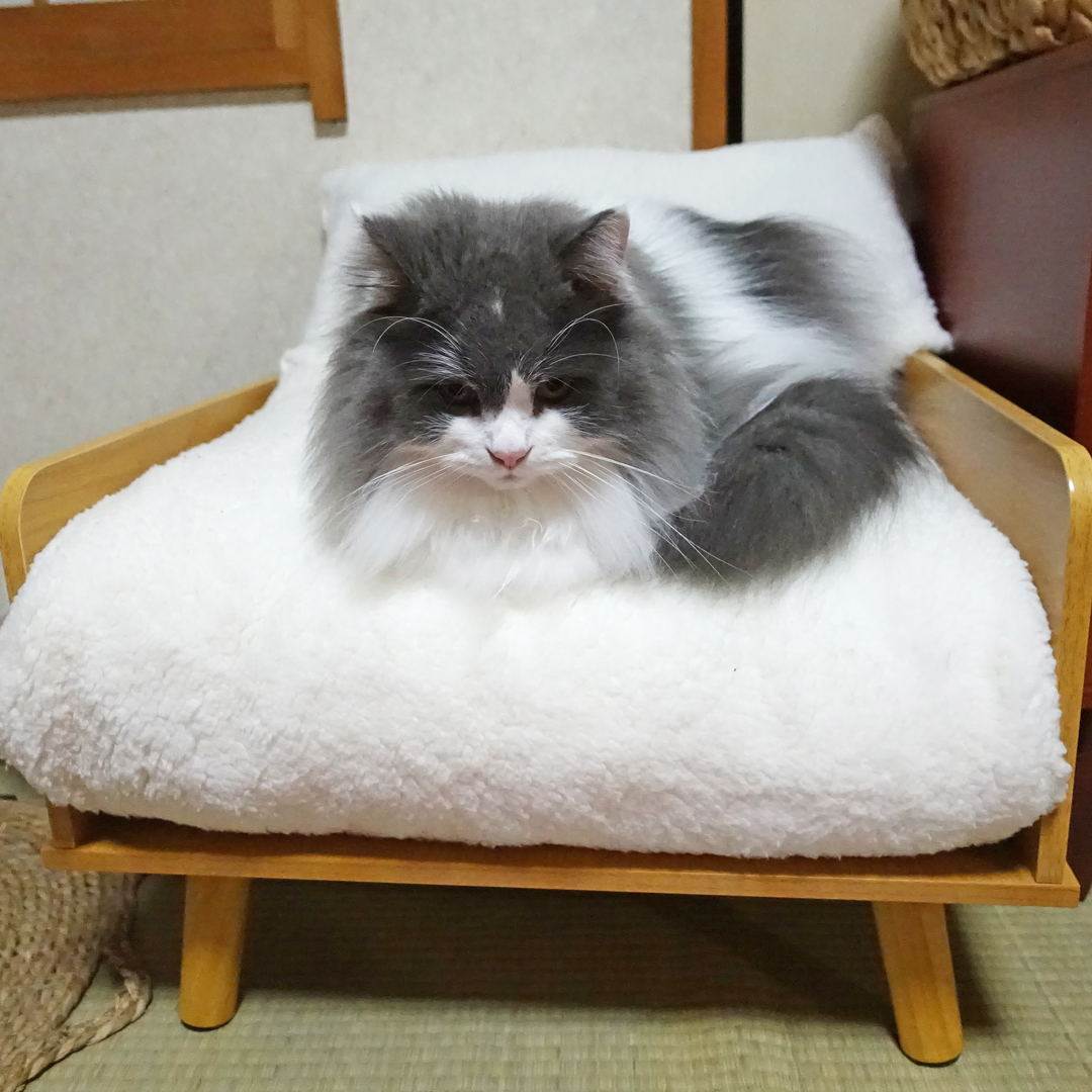 久しぶりのブログです。
