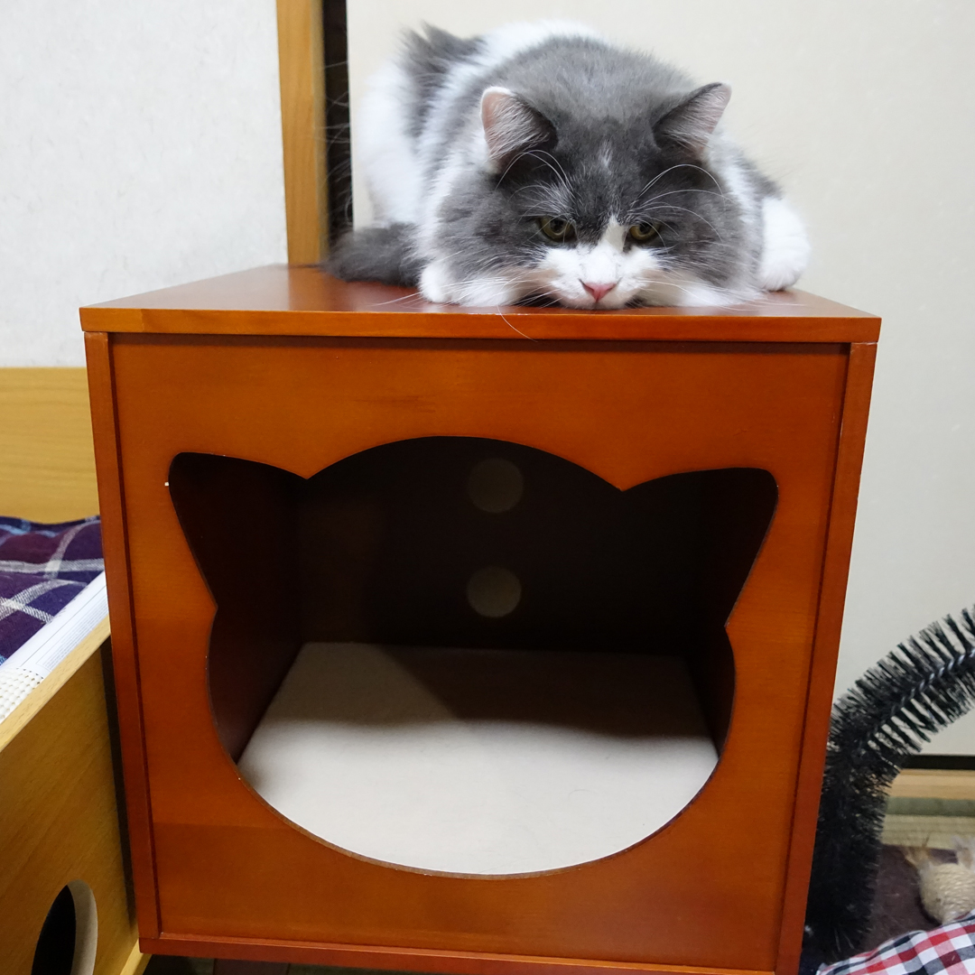 考え事？