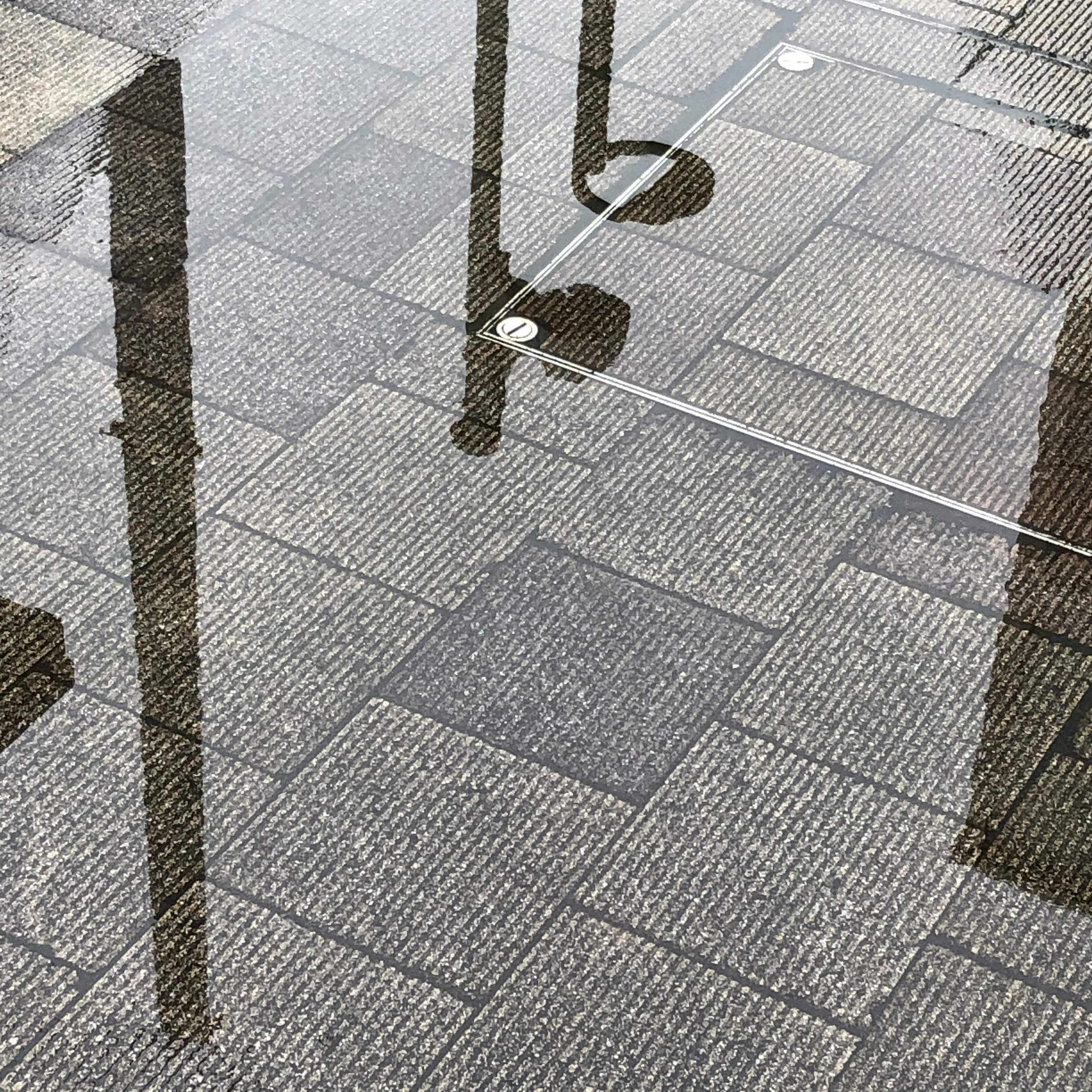 少しの雨上がりに