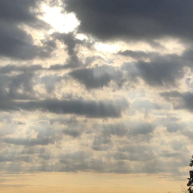 空を見て感じたり、見えるままの景色を切りとる