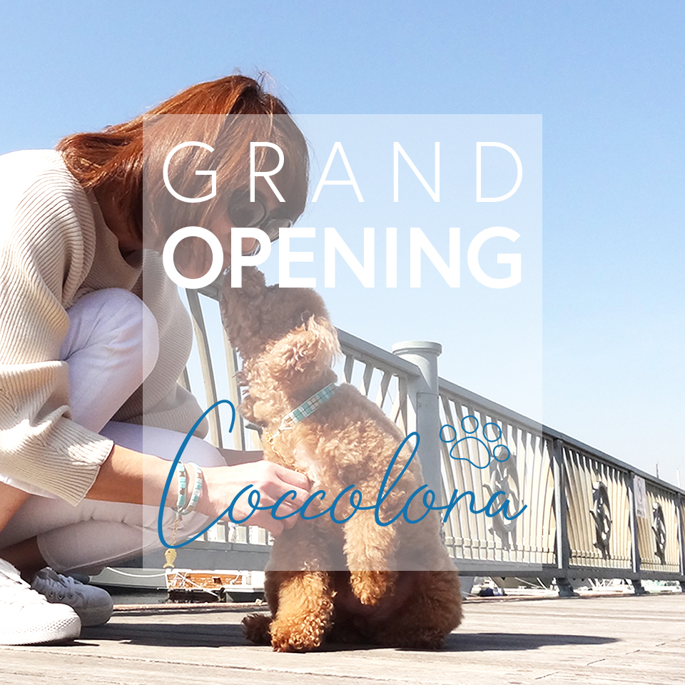 愛するペットと飼い主のためのペアーアクセサリーブランド "Coccolona" グランドオープン