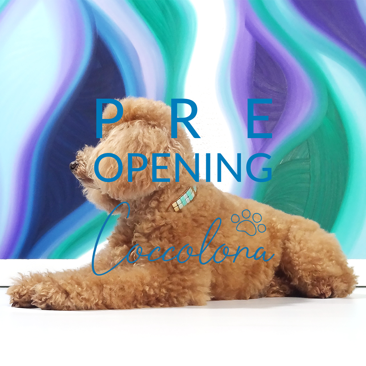 愛するペットと飼い主のためのペアーアクセサリーブランド "Coccolona" プレオープン