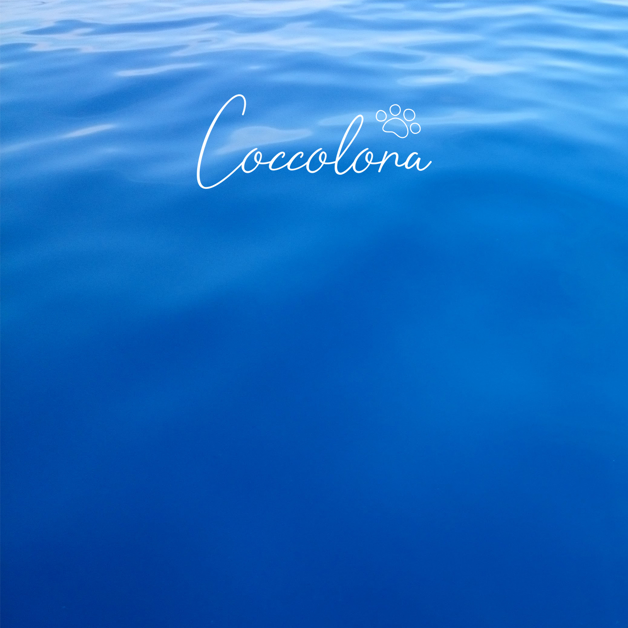 カプリブルーがブランドカラー ペットと飼い主がペアーでオシャレを楽しめるアクセサリーブランド