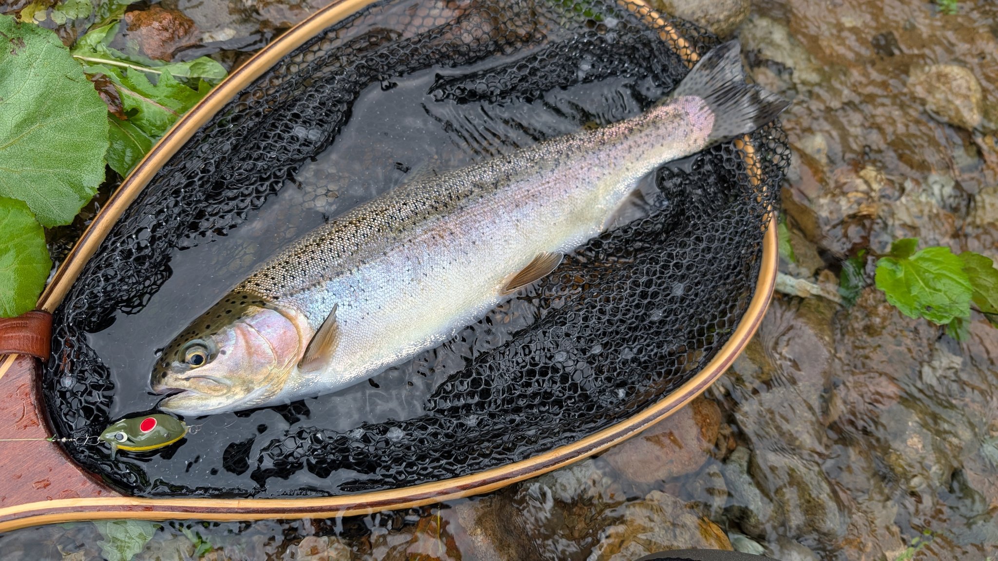 久しぶりの釣り