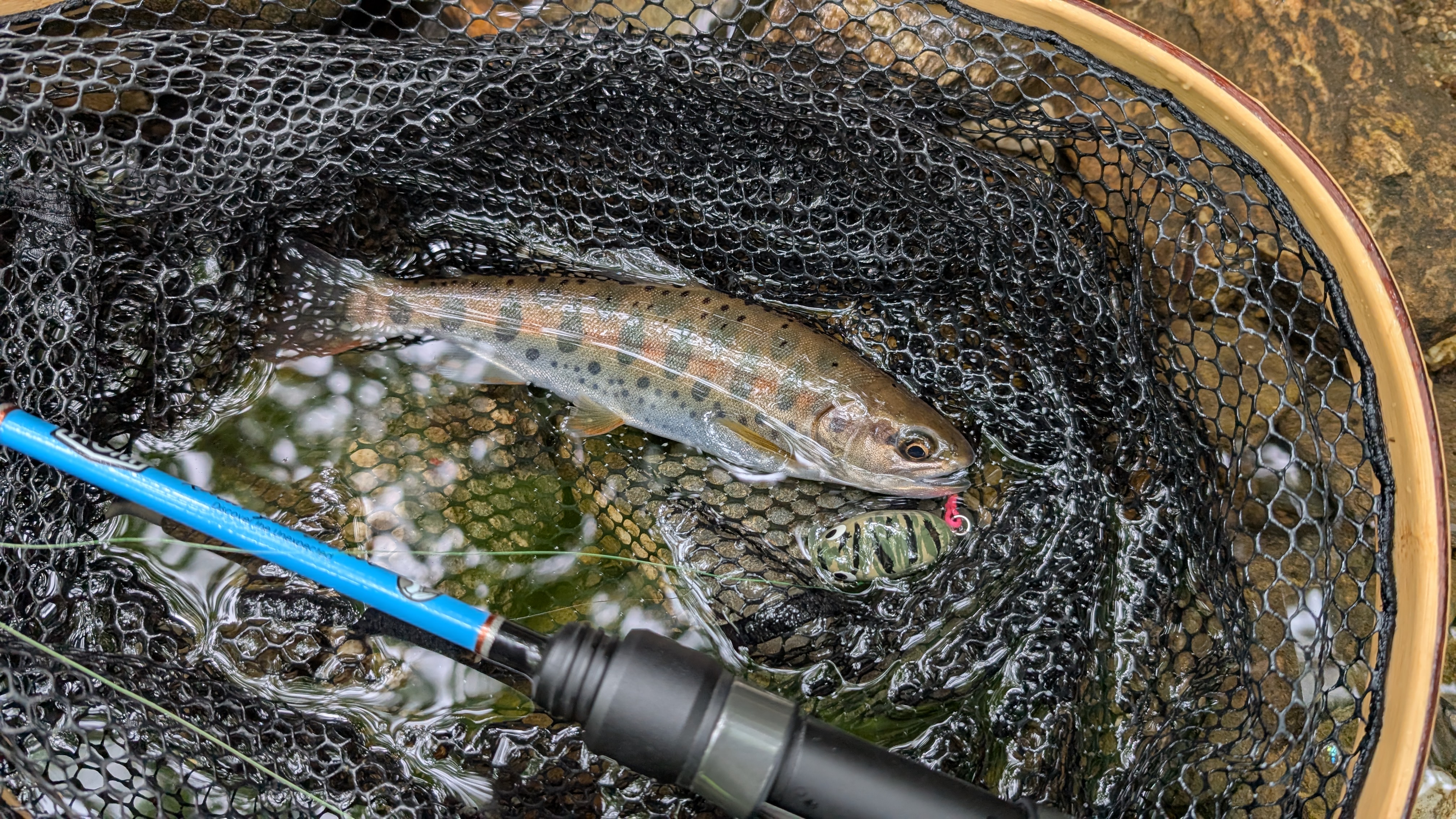 木曜も釣りに🎣