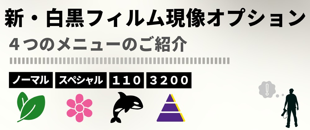 🌱新・追加オプション 白黒フィルム(モノクロフィルム)現像のご案内🌸