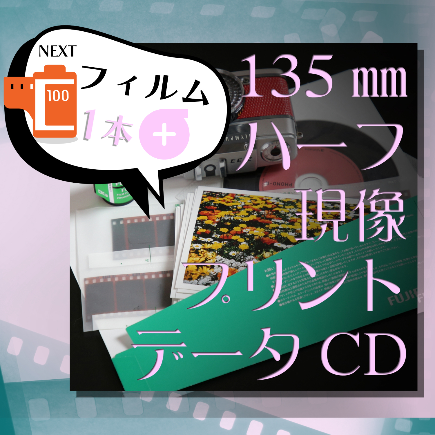 プラス・フィルム🎞️ハーフ現像コースの種類が増えました🌸
