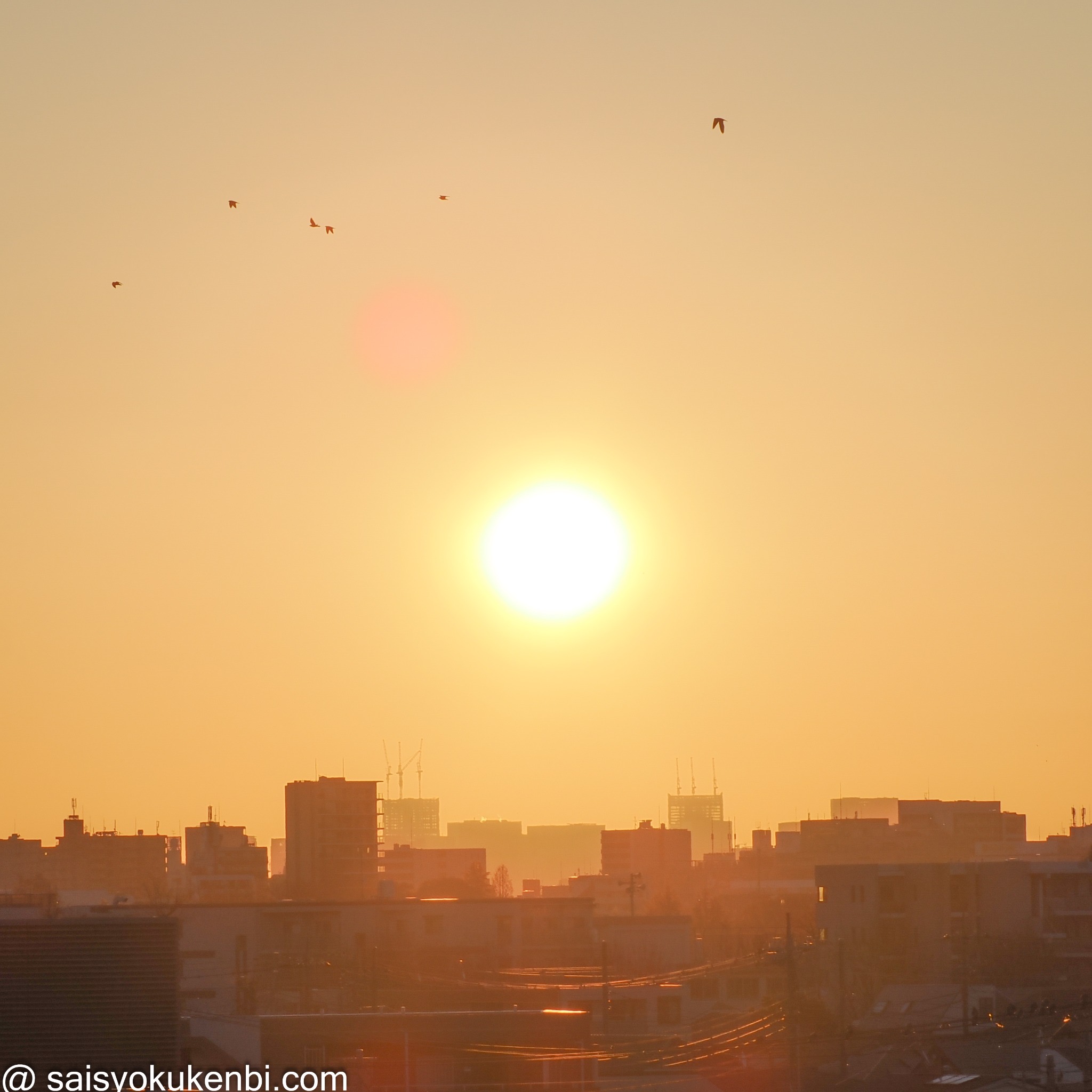 🎍🐍🌅2025年あけましておめでとうございます🌅🐍🎍