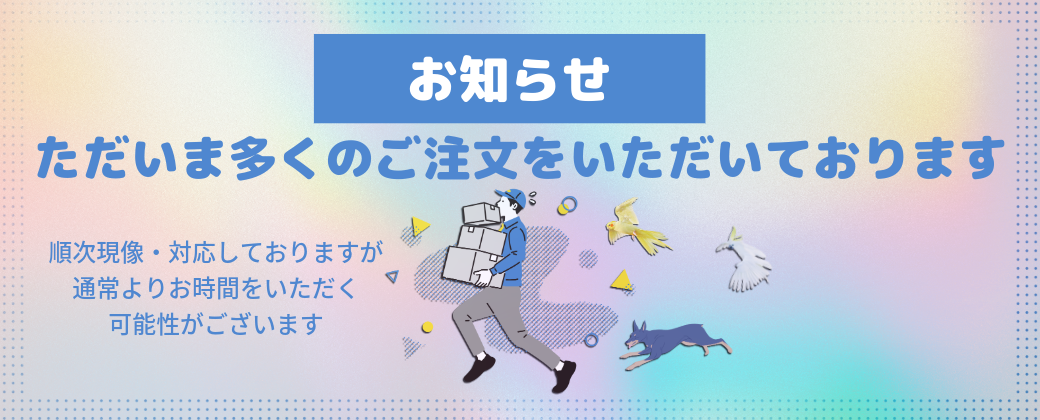 ⚠️お知らせ✈️遅延の可能性🚃現像コースのお仕上がりについて