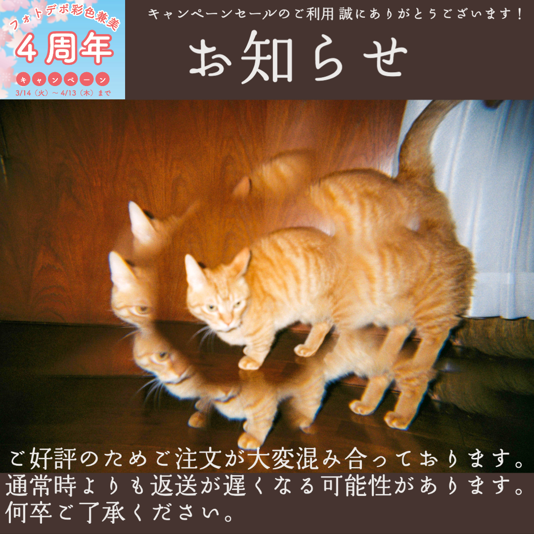 📢お知らせ📢ご注文混雑のため通常時より返送が少し遅くなる可能性があります