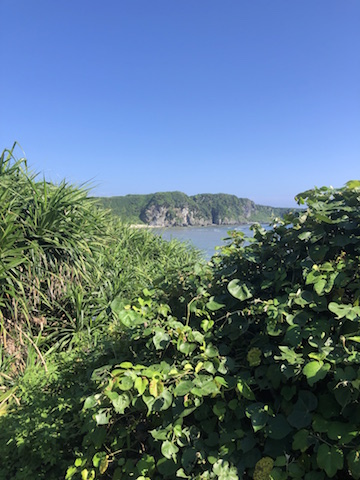 船を使わず岸から泳いで漁場まで