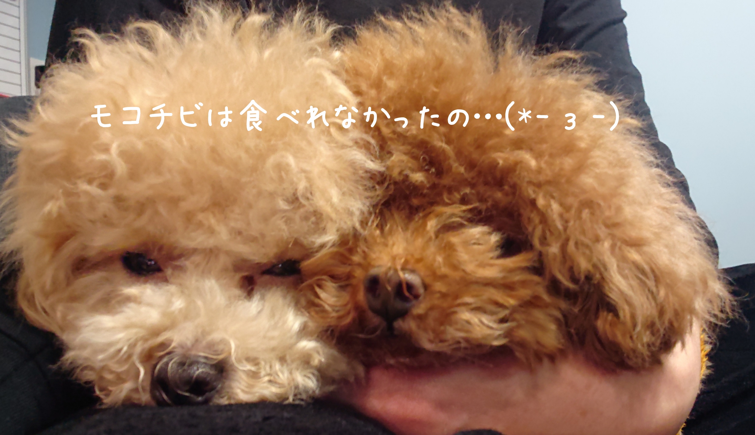 優しい心配りのできる会社