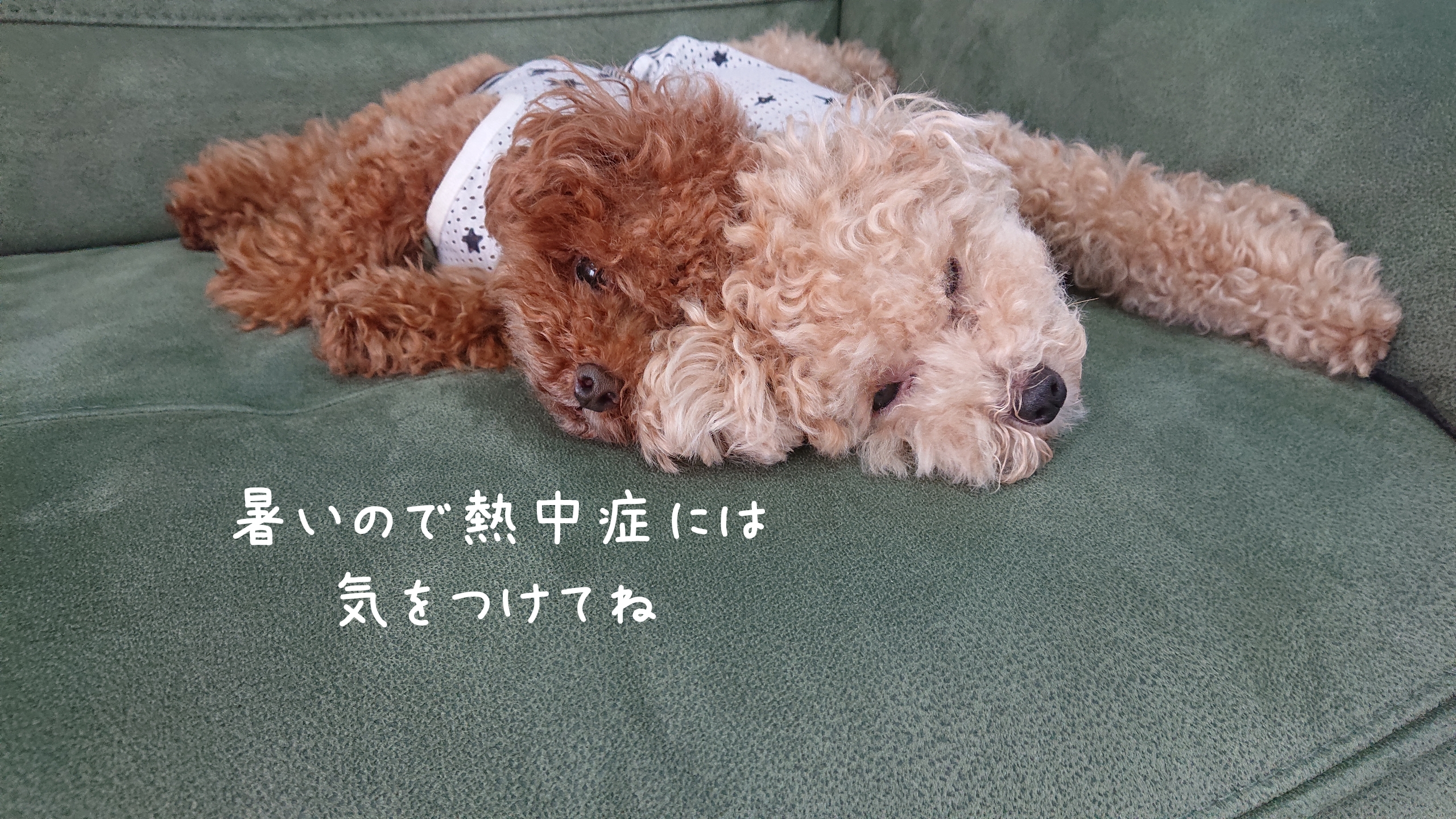 これさえあれば自分で何とかできちゃうかも！！