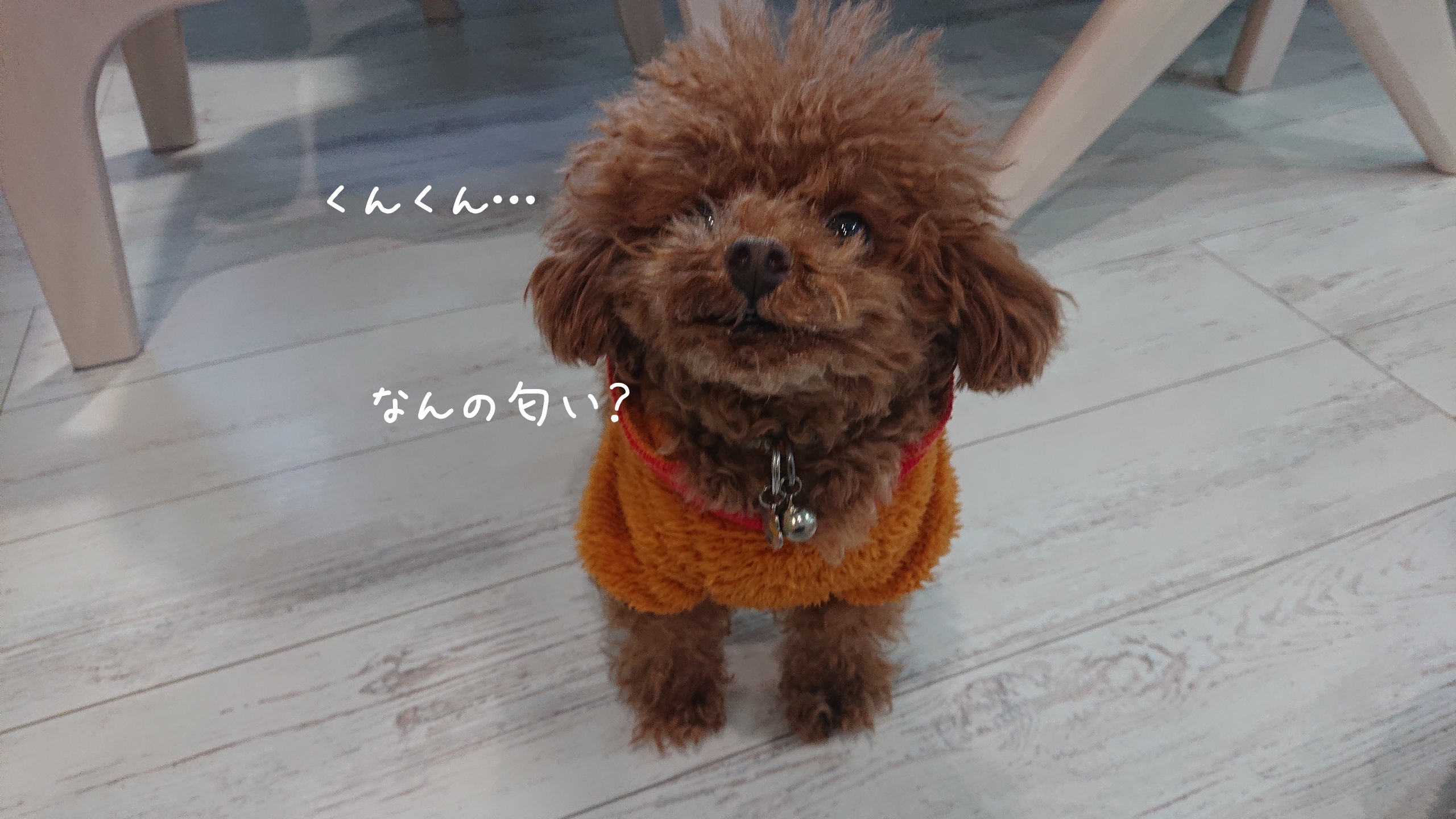いい香りに包まれて暮らしたい！